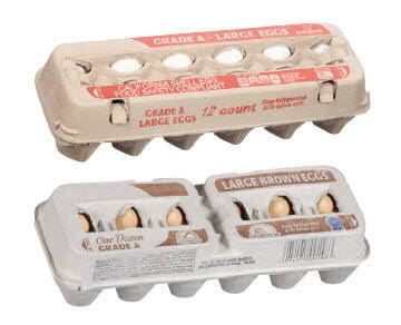 White and Brown Eggs