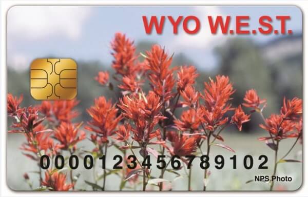 Tarjeta WIC de Wyoming