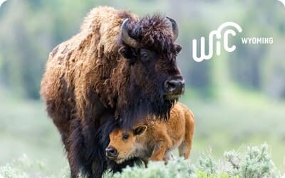 Wyoming eWIC Card
