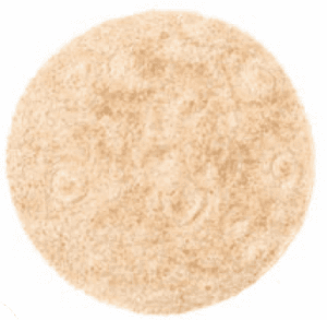 MA WIC tortilla image