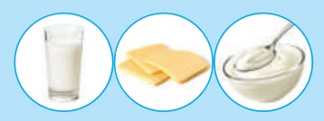 milk, cheese and yogurt dairy
