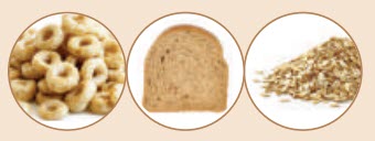 cereal, bread and rice grains