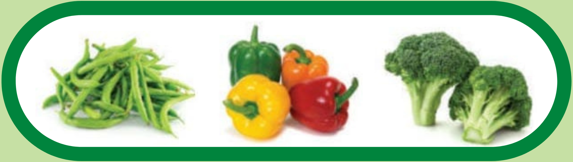 Various vegetables side by side