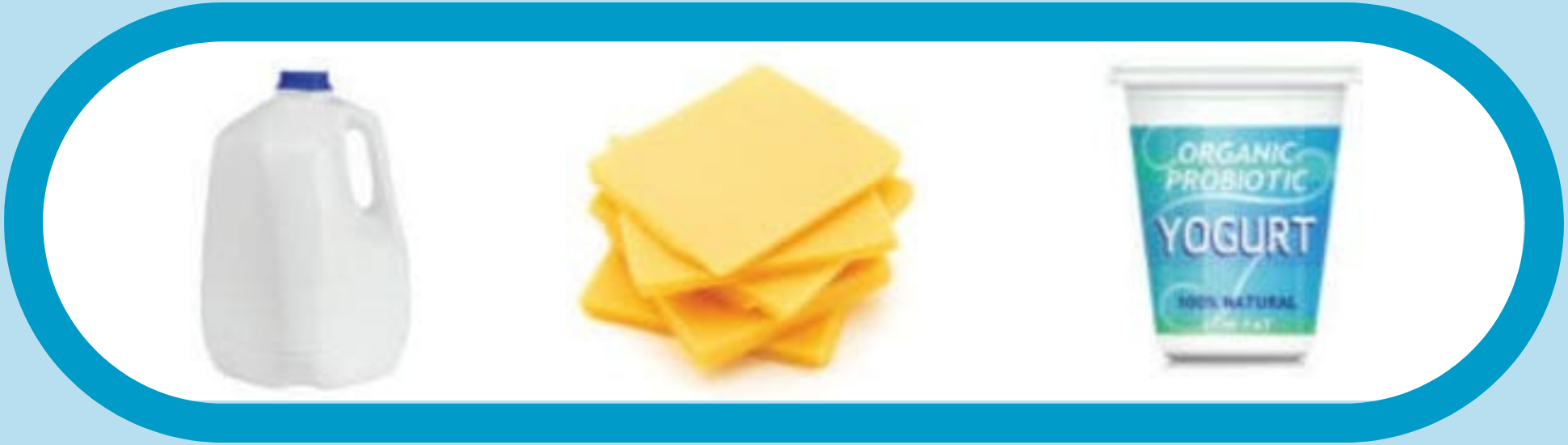 Various types of dairy side by side
