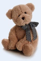 A teddy bear