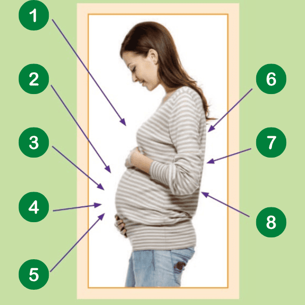 Side profile of a pregnant person in a striped shirt holding their belly, surrounded by numbered green circles pointing to different body areas of weight gain
