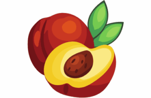 Nectarine