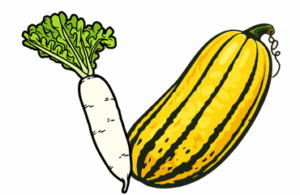 Daikon radish and delicata squash