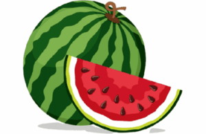 Watermelon