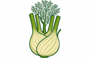 Fennel