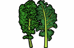 Kale