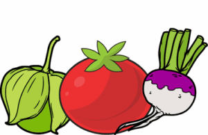 Tomatillo, tomato, turnip