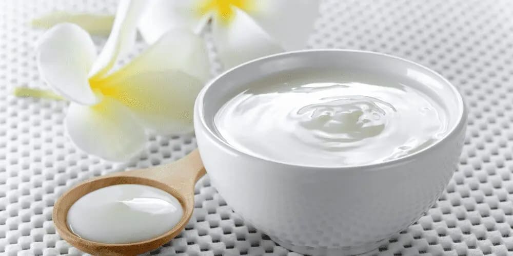 Bowl of yogurt on a table with a flower on the side