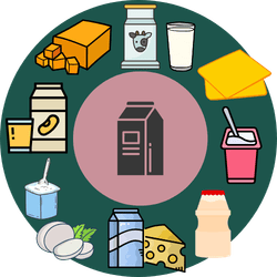 A circle filled with illustrations of dairy foods surrounding a milk carton icon, including cheese, yogurt, and milk containers.